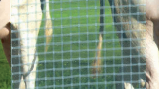 Eine Kuh steht vor einer 550g/m² PVC-Folie (2,18m breit), wodurch eine verzerrte Spiegelung entsteht. Das lichtdurchlässige Gitter verdeckt teilweise die Kuh und das saftig grüne Gras dahinter.