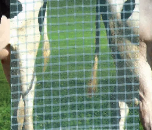 Eine Kuh steht vor einer 550g/m² PVC-Folie (2,18m breit), wodurch eine verzerrte Spiegelung entsteht. Das lichtdurchlässige Gitter verdeckt teilweise die Kuh und das saftig grüne Gras dahinter.