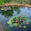 Wasser im Teich und darunter Teichfolie