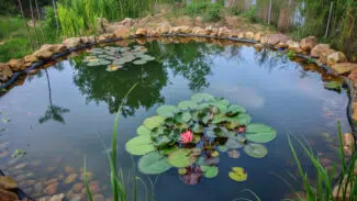 Wasser im Teich und darunter Teichfolie